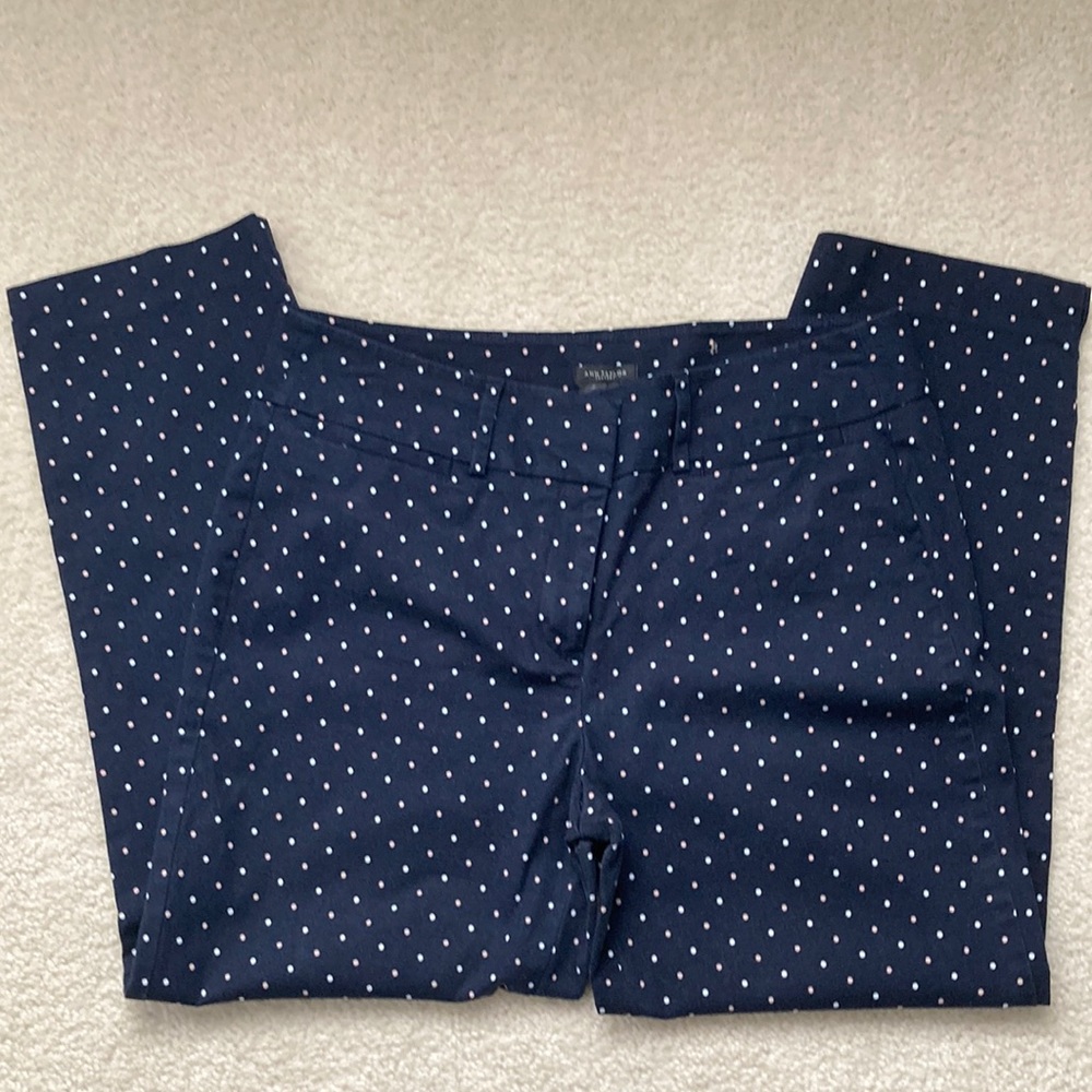 Size 8 Ann Taylor Factory Signature pants